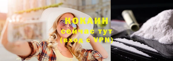 дурь Михайловск