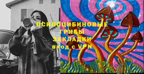 прущие грибы Аша