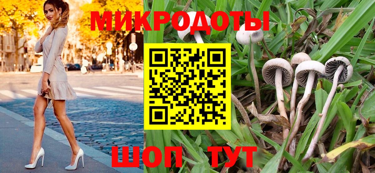 Карасук  Псилоцибиновые грибы Psilocybe  Вход с VPN  Псилоцибиновые грибы мухоморы 