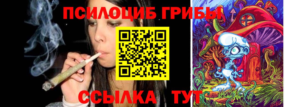 Псилоцибиновые грибы GOLDEN TEACHER Карасук